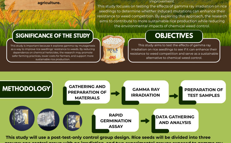  Induced Mutagenesis for Enhancing Weed Resistance in Rice Seedlings Using Gamma Rays